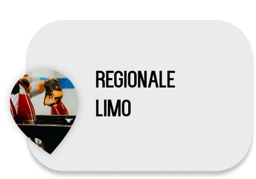 regionale limo